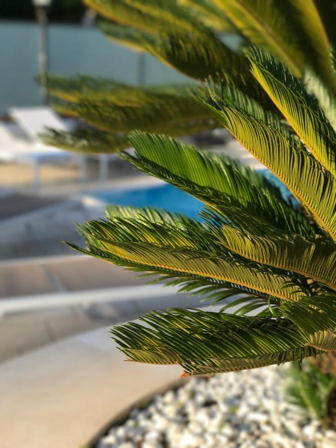 Path House - Etna & Sea View Aparthotel Riposto Bagian luar foto