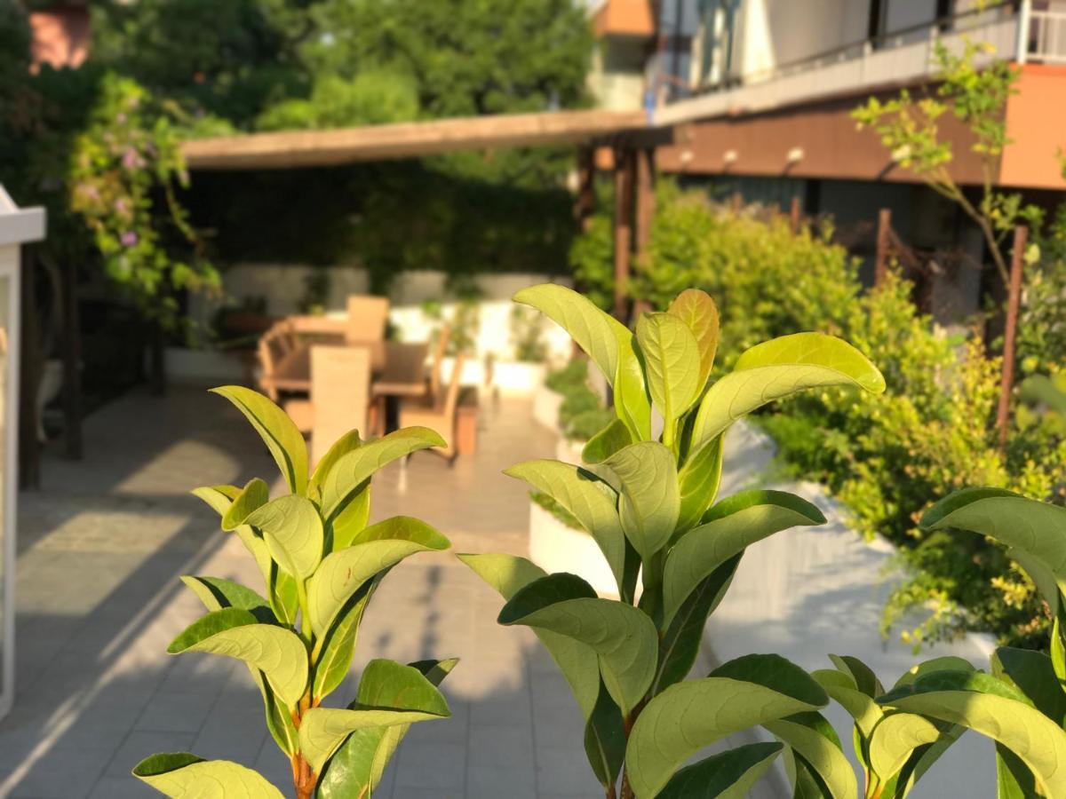 Path House - Etna & Sea View Aparthotel Riposto Bagian luar foto