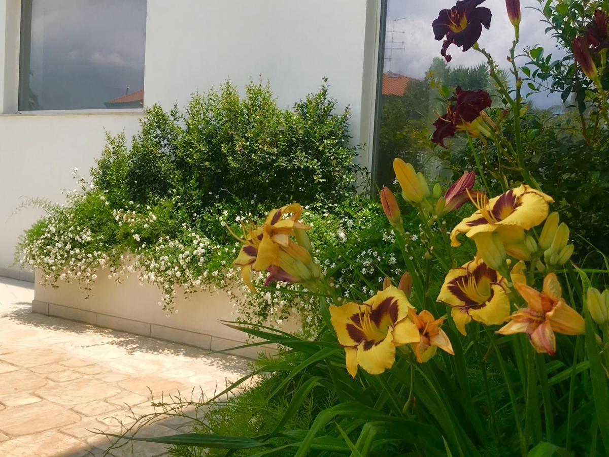Path House - Etna & Sea View Aparthotel Riposto Bagian luar foto